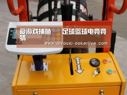 爱游戏真人娱乐中心案例展示三