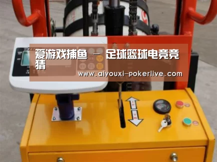 爱游戏真人娱乐中心案例展示三(图1)