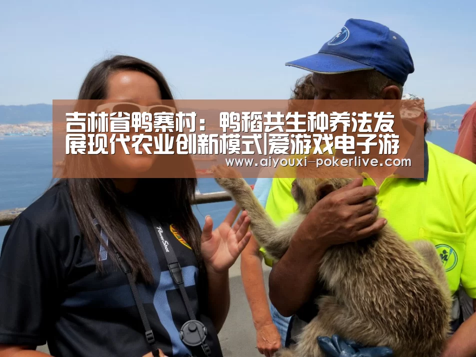 爱游戏真人娱乐中心