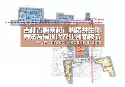 爱游戏电子游艺