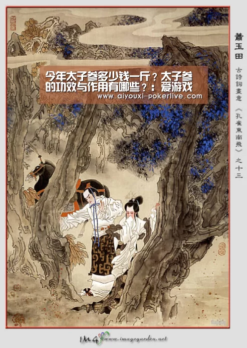 今年太子参多少钱一斤?太子参的功效与作用有哪些?:爱游戏真人娱乐中心(图3) 爱游戏电子游艺