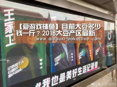 【爱游戏捕鱼】目前大豆多少钱一斤?2018大豆产区最新收购价格行情(图3) 爱游戏综合娱乐平台