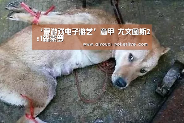爱游戏捕鱼